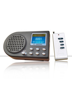 Reproductor Mp3 De Cantos...