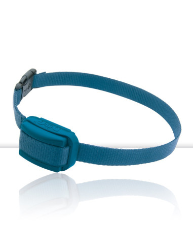 Anti-Ladridos Dogtrace D-Mute Basic