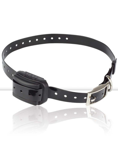 Anti-Ladridos Dogtrace D-Mute Plus