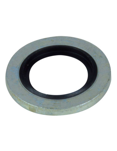 Junta Sellado 1/4 Bsp