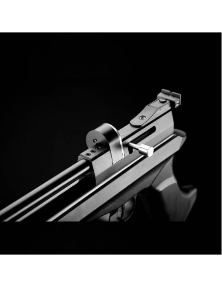 STINGERE ARES-ARTEMIS CP2