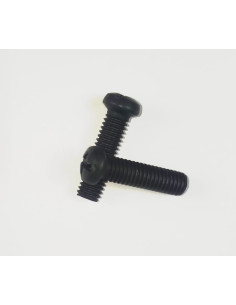 100529 Tornillo...