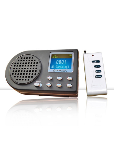 Reproductor Mp3 De Cantos Con Mando.