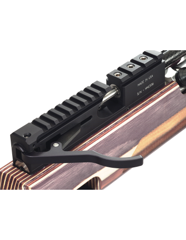 RAW HM1000X LRT Wood