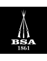 BSA